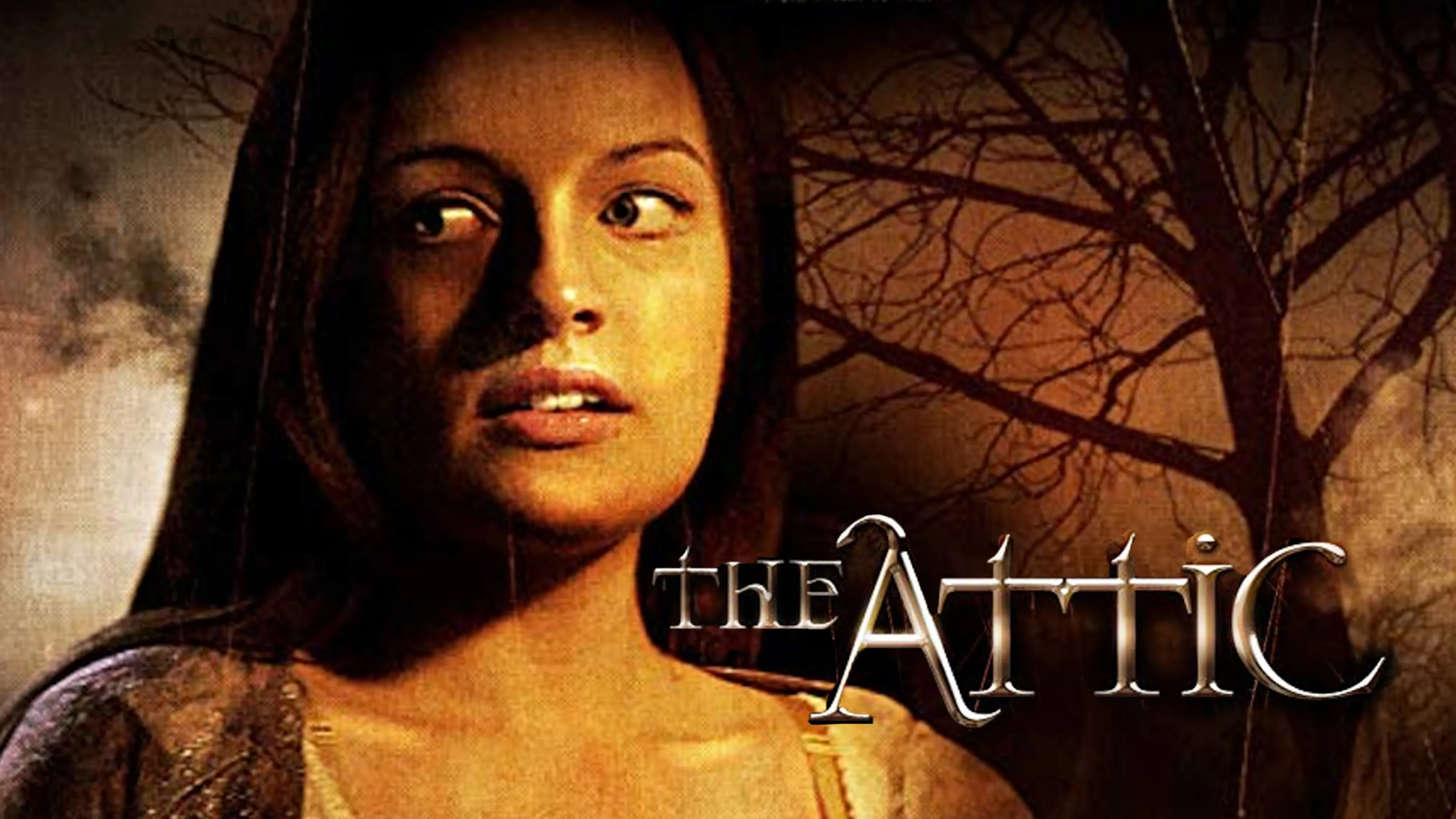 The Attic poster
